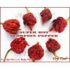 Magic Plant Farms Scorpion Pepper Whole Dried Pods 8oz (226.8g)