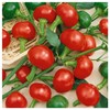 Everwilde Farms - 1/4 Lb Red Cherry Hots Hot Pepper