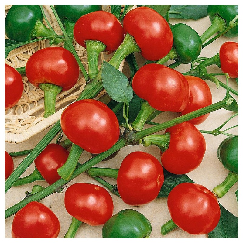 Everwilde Farms - 1/4 Lb Red Cherry Hots Hot Pepper