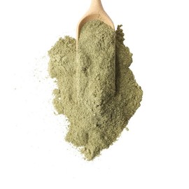 동의한재 국산 측백엽 측백잎 분말 가루 300g Dongyihanja Domestic Thuja Leaf Powder 300g