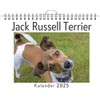 Jack Russell Terrier - (Wandkalender 2025, Kalender DIN A4 quer,