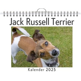 Jack Russell Terrier - (Wandkalender 2025, Kalender DIN A4 quer, Monatskalender im Querformat mit Kalendarium, das perfekte Geschenk)