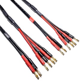 CNCESS Bi-Wire Banana Plug Splitter Speaker Cable, 2 Banana Plugs to 4 Banana Plugs, 12 Gauge, 2-Channel (3 Feet), Black & Red, s106