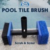 Pool Tile Brush Scrubber 2-in-1 Scrub and Scour Waterline Tile