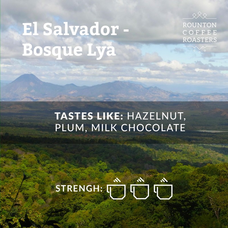 Rounton Coffee Roasters | 250g | Freshly Roasted Coffee |