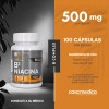 Vitamina B3 Niacina 100 Tabletas 500 Mg Nutricion 2000