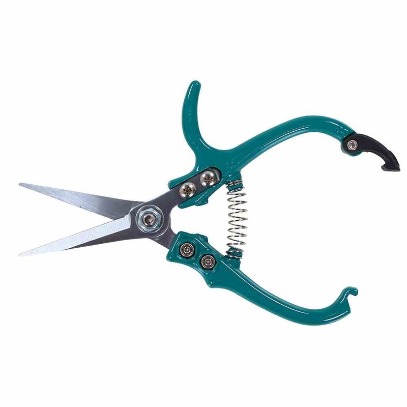 Siena Garden CG2090 Florists Scissors, Turquoise, 16.9 x 8.3 x