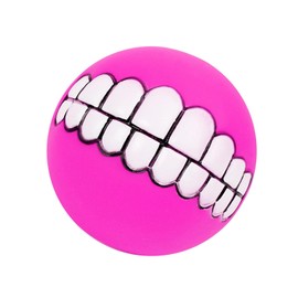 Generisch Chew Toy Ball for Dogs, Squeaky Puppy Toy Balls, Large Dog Squeaky Ball, Puppy Chew Sound Toy, Interactive Pet Game, Safe PVC for Home, Travel, Outdoor