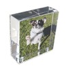 Canetti Mini Magnet Frame - Picture Frames with Silver Black