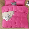SSW HOMES Double Size Duvet Cover Sets (Pink) - 3