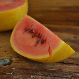 Golden Midget Watermelon - 25 Seeds - Heirloom & Open-Pollinated Variety, Easy-to-Grow & Sweet, Non-GMO Fruit & Vegetable Seeds for Planting Outdoors in The Home Garden, Thresh Seed Company