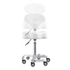 Dir Medical Stool Adjustable All Purpose Roller Stool Salon and
