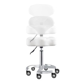 Dir Medical Stool Adjustable All Purpose Roller Stool Salon and Spa Stool with Backrest Adjustments Zen
