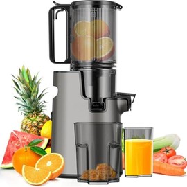 LQZ 350W Cold Press Masticating Juicer with 5.3-Inch Feed Chute, Blade-less Design, 50 RPM Slow Grinding Technology, 99% Juice Yield, Easy to Clean - Color: Black