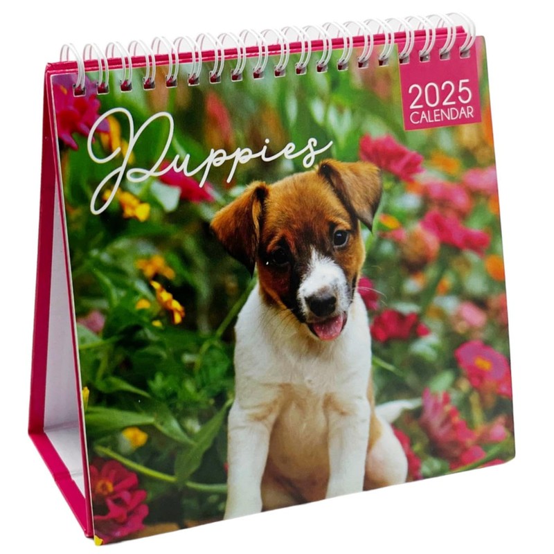 2025 Month to View Desktop Calendar Home Office Table Work
