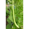 RAISE ME UP: Seeds Long Gourd Calabash Lagenaria Non GMO