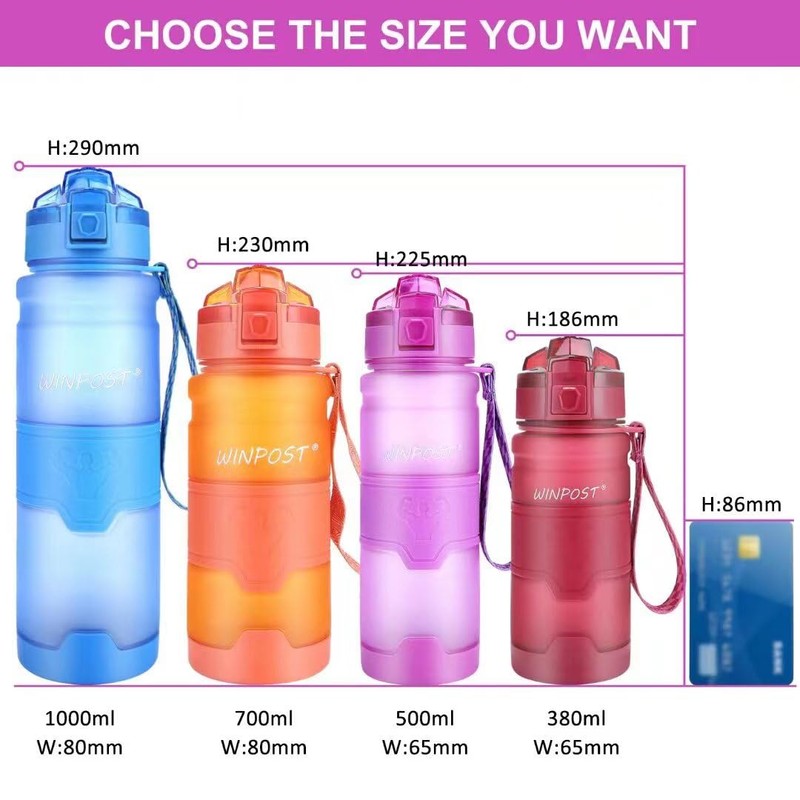 WINPOST SPORTS Water Bottle (Purple, 700ml)