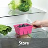 Zeal Fridge Storage Box for Fruits and Berries, Melamine Kitchen