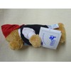 EBO 10275 Pirate Bear 14 cm