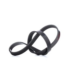 febi bilstein 28769 Auxiliary Belt, pack of one, schwarz