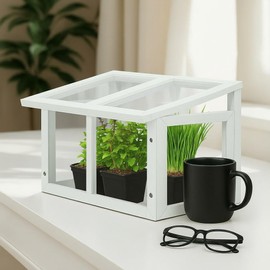 Mini Tabletop Greenhouse 12"x8" – Compact Indoor Plant House with Clear Acrylic Panels & Wood Frame with 4" Pots for Herbs, Seedlings, Cuttings & Propagation - Cat Safe