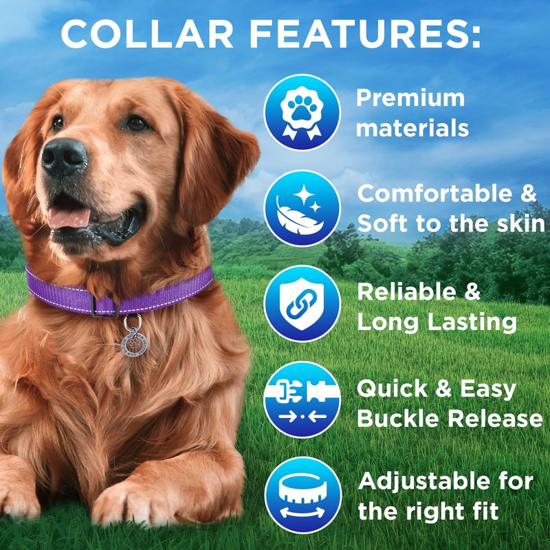 TECEUM Reflective Dog Collar – Purple – S – Extra