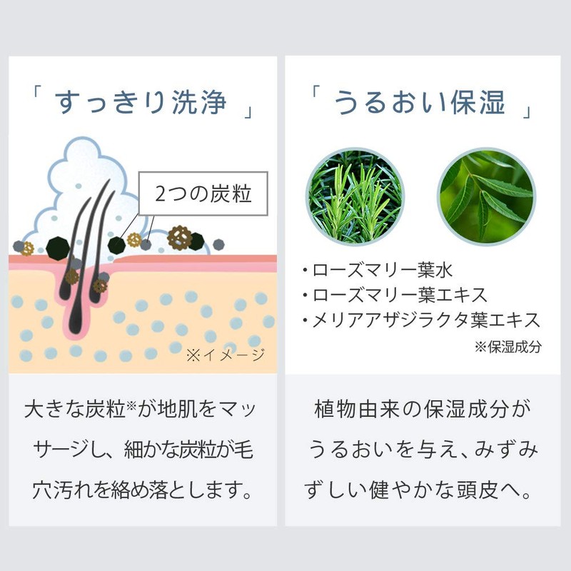 Botanist Botanical Treatment (Charcoal Cleanse), 17.3 oz (490 g)