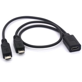 GLHONG USB 2.0 Type C Female to Dual Micro USB Male Splitter Cable (2 Micro USB Splitter Extension Cord 12 Inch/ 8 Inch) - 1Ft