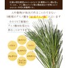 Health & Wild Grass Tea Center, Matsuba Tea Pack, 0.07