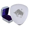 Taurus Zodiac Star Sign Steel Guitar Plectrum Pick Engraved in