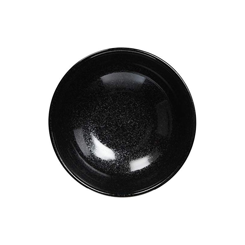 Hayashi Kinnosuke Shoten Mino Ware Noodle Bowl Oil Droplets 501-26-41E
