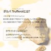 [d'Alba公式] ホワイトトリュフ ファースト スプレーセラム (100ml) ミスト化粧水 保湿ミスト 保湿セラム 潤いミスト エッセンスミスト