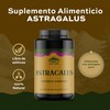 TIBET NATURA - Astragalus 60 Cápsulas 500 mg c/u -