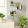 SRIWATANA Floating Shelves Wall Mounted, Solid Wood Wall Shelves, White