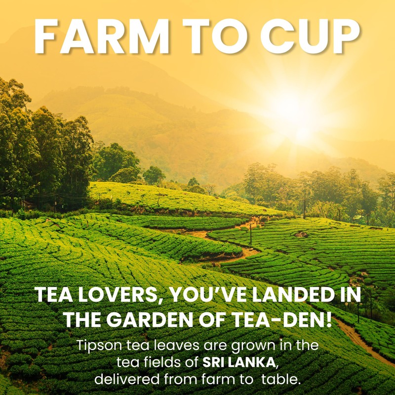 Tipson Organic Ginger Variety Sampler - 6 Flavors (60 Tea