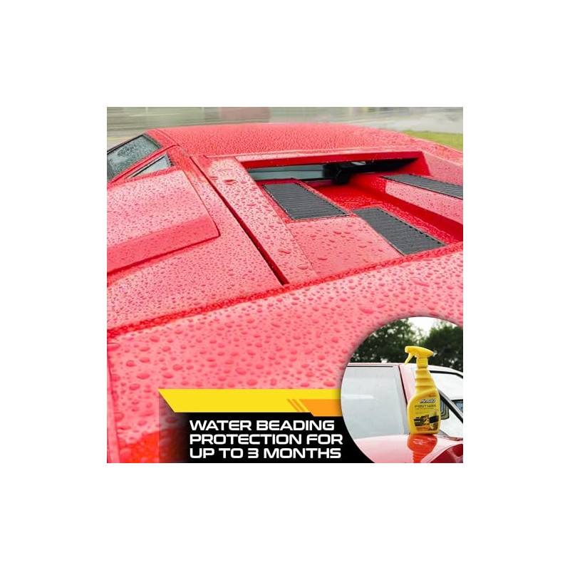 Formula 1, 615056, Cera Rapida de Carnauba, 473ml