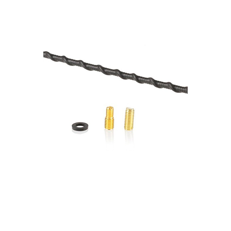 Premium Car Aerial Antenna AM/FM Radio Bee Sting Roof Mast