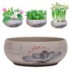 Ceramic Lotus Bowl Planter, Lotus Pots for Water Plants Indoor,