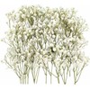 100PCS Dried Pressed Flowers,Natural Baby Breath Dried,Dry Flowers