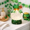 MOMENTS IN TIME Acrylic Frog Snow Globe LED Light-Up Water
