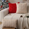 Allorry Christmas Pillow Covers 12 x 20 Set of 2