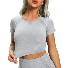 FITTOO Women's Short Sleeves Workout Crop Tops Seamless Sports Shirts Fitness Activewear Light Grey S