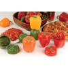 Hutzler 354OR Food Keeper, os, Orange Pepper Saver