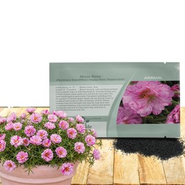 Outsidepride Peppermint Moss Rose Seeds - 500 Pcs Annual, Drought & Heat Tolerant, Pollinator Friendly Ground Cover Seeds for Planting w/Vibrant Blooms & Succulent Foliage, Ideal for Xeriscaping