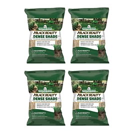 Jonathan Green 10622 Dense Shade Grass Seed Mix, 1 Pounds, 4 Pack