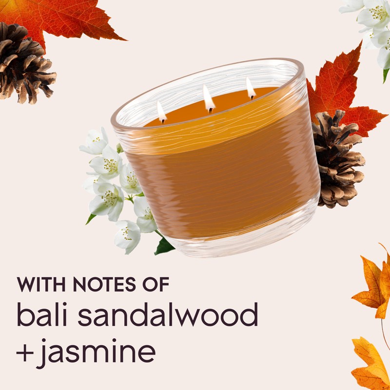 Glade Cashmere Woods, Fragrance Candle Infused with Essential Oils, Air