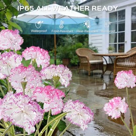 TANSOREN 4 Pack Solar Garden Lights Outdoor, Colorful LED Waterproof Solar Powered Carnation Flowers Landscape Lights for Outside Yard, Patio, Pathway Decorative, Décor, Gifts, Two Lighting Modes