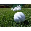 Lesco Double Eagle Perennial Ryegrass Seed Blend (1 Lb.)