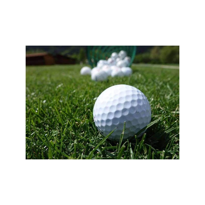 Lesco Double Eagle Perennial Ryegrass Seed Blend (1 Lb.)