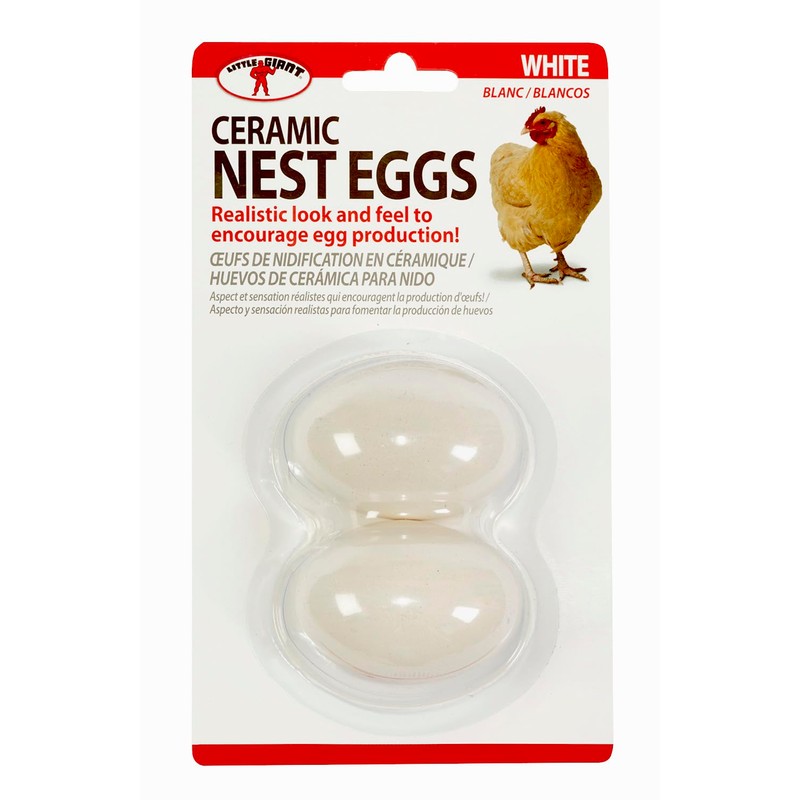 Little Giant® Large Egg Basket Kit | Chicken Egg Basket